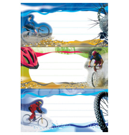 Buchschild Mountainbike 76x35 mm, 6 St.