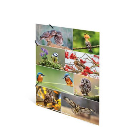 Sammelmappe A3 sortiert Tierwelt