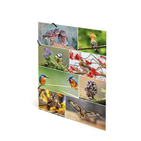 Sammelmappe A3 sortiert Tierwelt