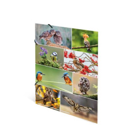 Sammelmappe A3 sortiert Tierwelt