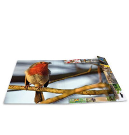 Sammelmappe A3 sortiert Tierwelt