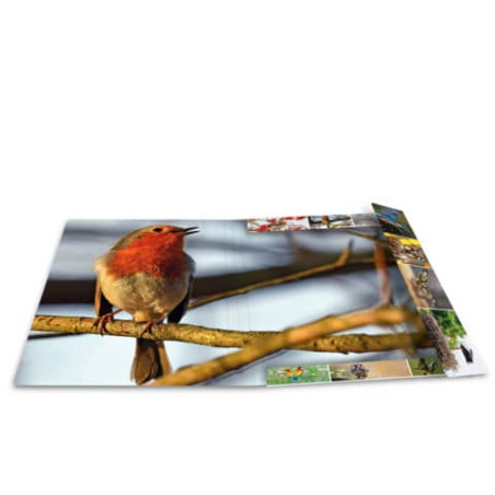 Sammelmappe A3 sortiert Tierwelt