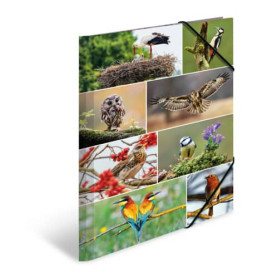 Sammelmappe A3 sortiert Tierwelt