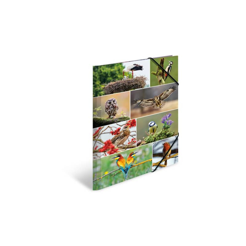 Sammelmappe A3 sortiert Tierwelt