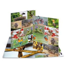 Sammelmappe A3 sortiert Tierwelt