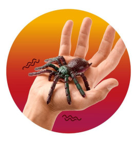 ZOO GRUSEL-SPINNE, 4-FACH SORTIERT