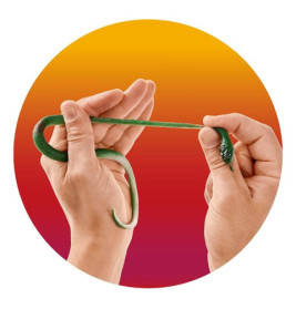 ZOO STRETCHY-SCHLANGE 30CM, 4-F.SORT