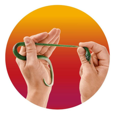 ZOO STRETCHY-SCHLANGE 30CM, 4-F.SORT