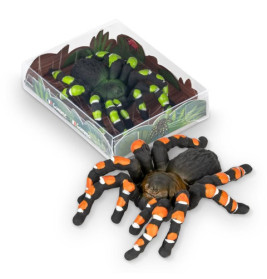 ZOO RADIERER VOGELSPINNE, 2-FACH SORT.