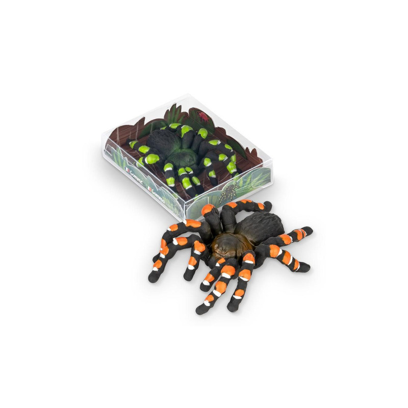 ZOO RADIERER VOGELSPINNE, 2-FACH SORT.