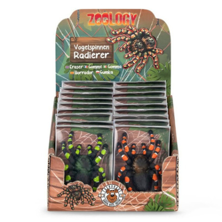 ZOO RADIERER VOGELSPINNE, 2-FACH SORT.