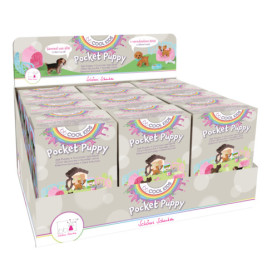 Spielset Hündchen in Box (12)