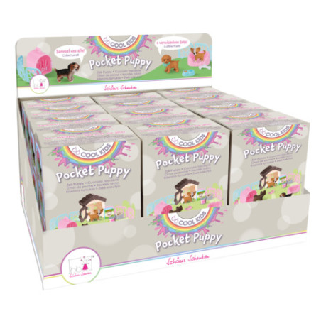 Spielset Hündchen in Box (12)