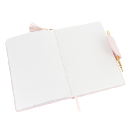 Notizbuch rosa Daily Notes mit Stift