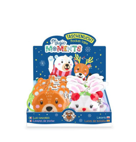 LED-TASCHENLICHT MIT KARABINER, 2-fach sortiert