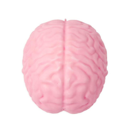 XXL Squishy Super Brain
