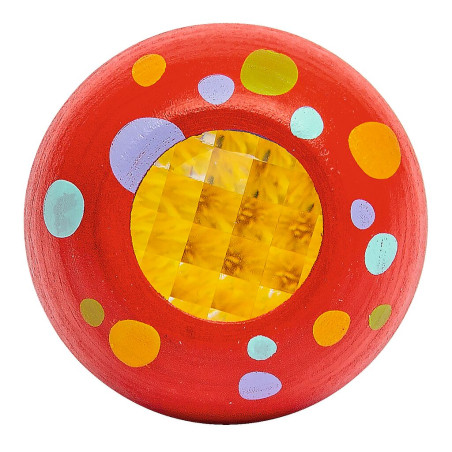 Mein Zaubergarten Insektenaugen