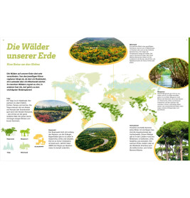WAS IST WAS Der Wald. Zwischen Blättern und Zapfen