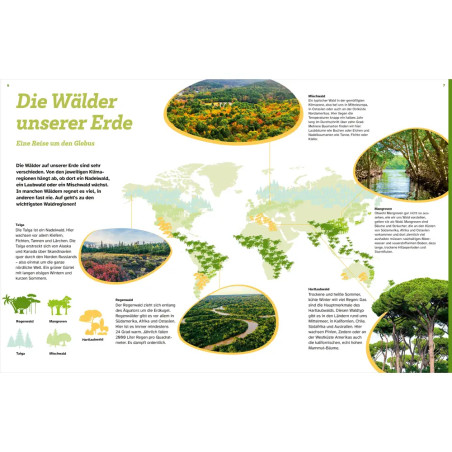 WAS IST WAS Der Wald. Zwischen Blättern und Zapfen