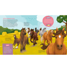 WAS IST WAS Kids Pferde und Ponys. Wild, stark und einfach toll!