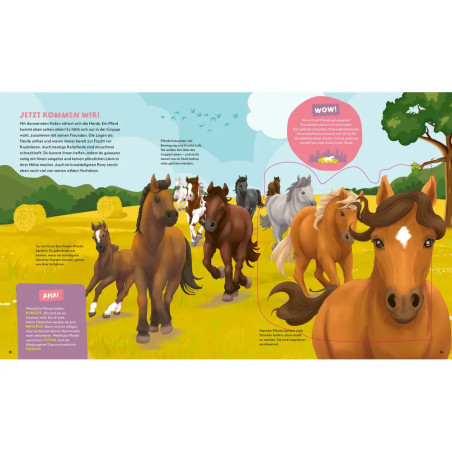 WAS IST WAS Kids Pferde und Ponys. Wild, stark und einfach toll!