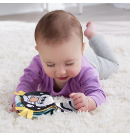Fisher-Price 2-in-1 Wippender Otter zum spielen in der Bauchlage