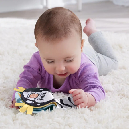 Fisher-Price 2-in-1 Wippender Otter zum spielen in der Bauchlage