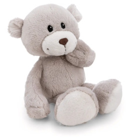 Kuscheltier Bär Finni in Geschenkbox