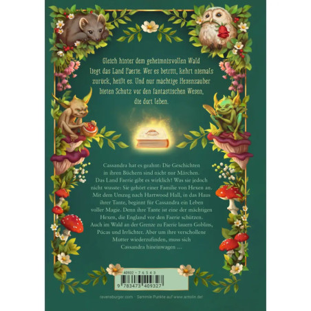 Cassandra Morgan, Band 1: Der goldene Schlüssel