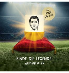 MegaLight® Eggy´s Mystery Lights BVB Edition – Leuchtende Überraschungs-Figuren für Fans