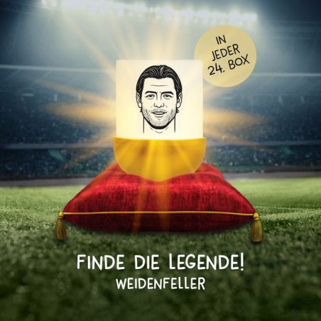 MegaLight® Eggy´s Mystery Lights BVB Edition – Leuchtende Überraschungs-Figuren für Fans