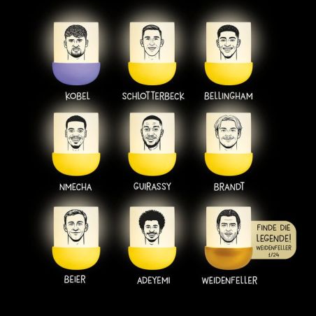 MegaLight® Eggy´s Mystery Lights BVB Edition – Leuchtende Überraschungs-Figuren für Fans