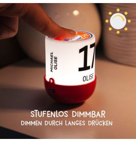 MegaLight® Eggy´s Mystery Lights FCB Edition – Leuchtende Überraschungs-Figuren