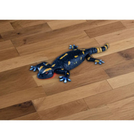 CarreraRevell Robo Friends Salamander – Interaktiver Spielroboter USB-C