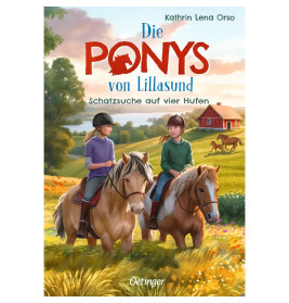 Die Ponys von Lillasund 2. Schatzsuche auf vier Hufen