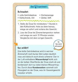 PhänoMINT 75 supercoole Schätz-Experimente für zu Hause