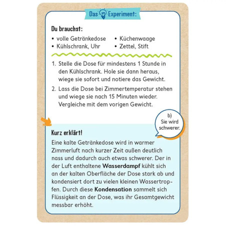 PhänoMINT 75 supercoole Schätz-Experimente für zu Hause
