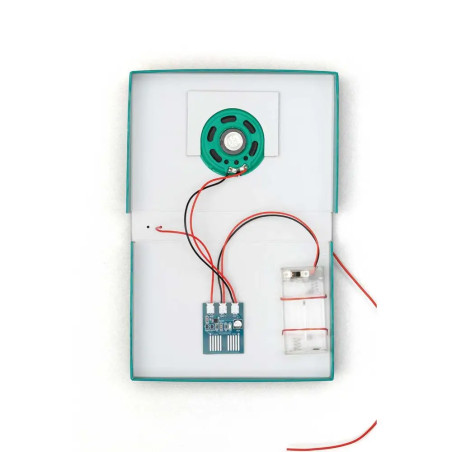 Checker Tobi CheXperiment Radio-Check