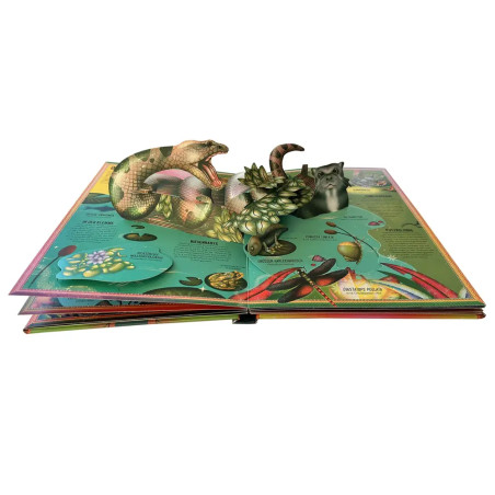 Das unglaubliche Pop-up-Buch – Am Wasser