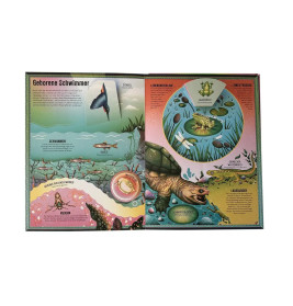 Das unglaubliche Pop-up-Buch – Am Wasser