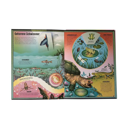 Das unglaubliche Pop-up-Buch – Am Wasser