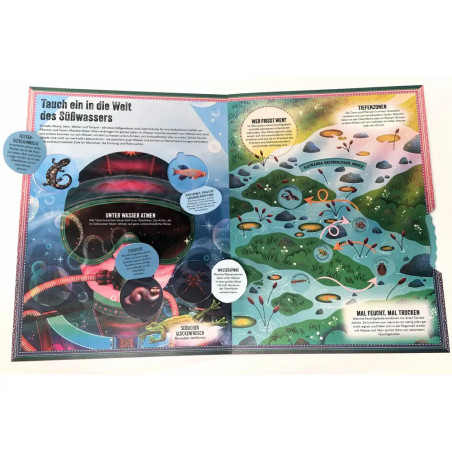 Das unglaubliche Pop-up-Buch – Am Wasser