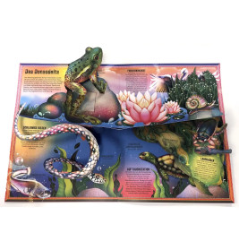 Das unglaubliche Pop-up-Buch – Am Wasser