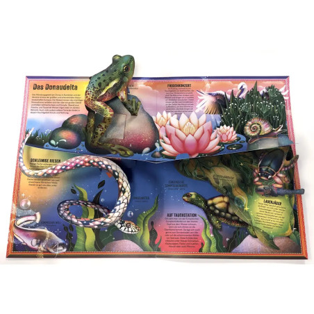 Das unglaubliche Pop-up-Buch – Am Wasser