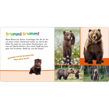 Hör mal rein, wer kann das sein? – Meine Mama