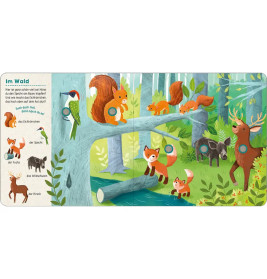 Such mal, hör mal! Im Wald