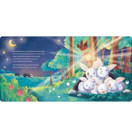 Ich schenk dir ein Licht! Schlaf, Kindlein, schlaf