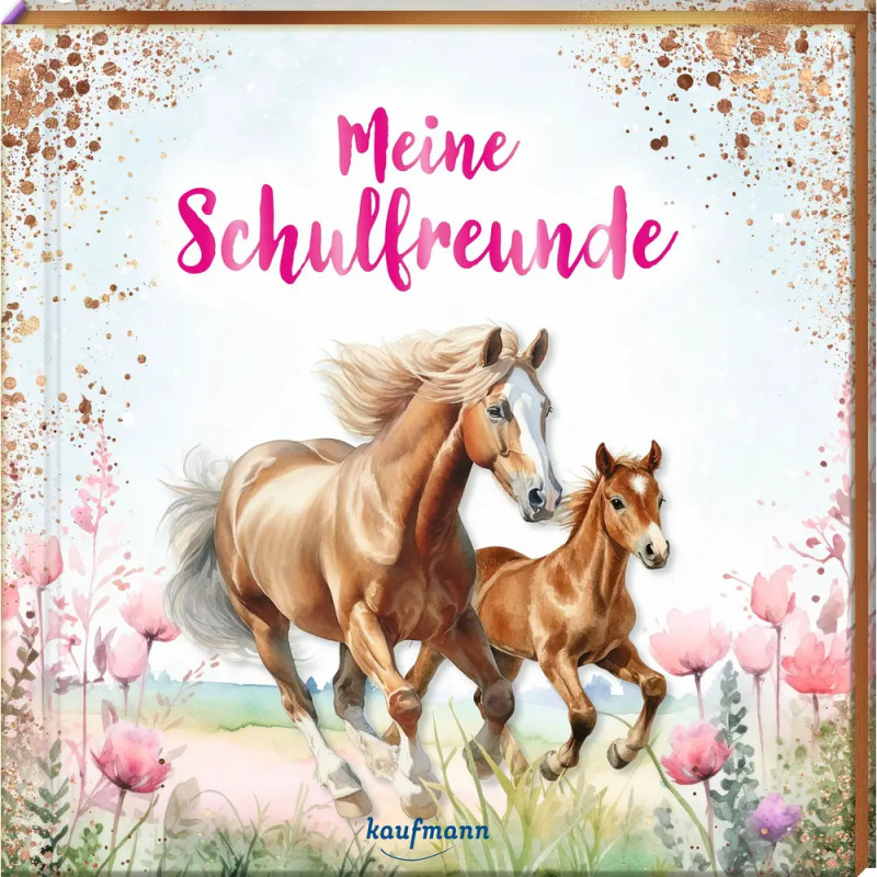 Meine Schulfreunde
