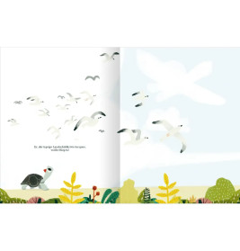 Die kleine Schildkröte, die vom Fliegen träumte