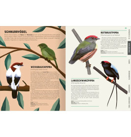 Das große Lexikon der Vögel